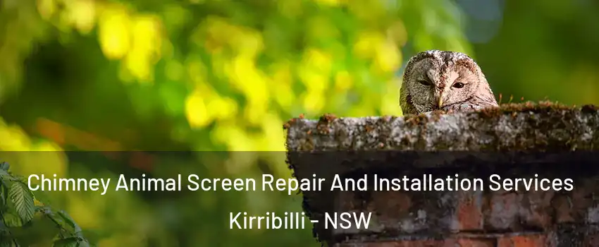 Chimney Animal Screen Repair And Installation Services Kirribilli - NSW