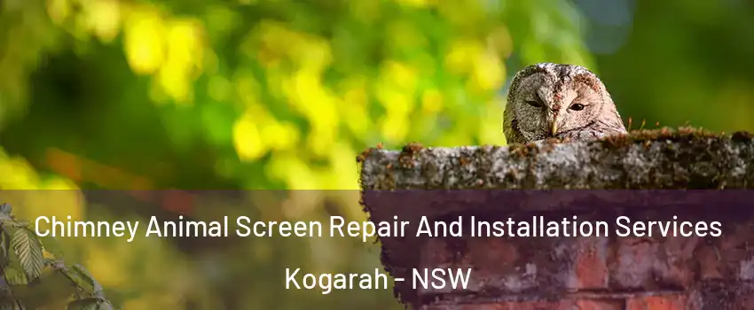Chimney Animal Screen Repair And Installation Services Kogarah - NSW