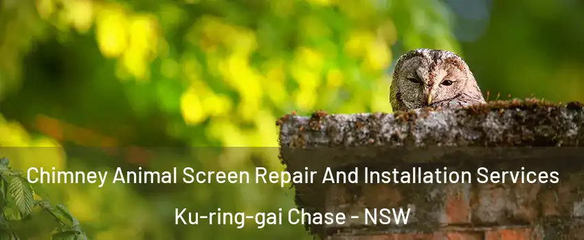 Chimney Animal Screen Repair And Installation Services Ku-ring-gai Chase - NSW