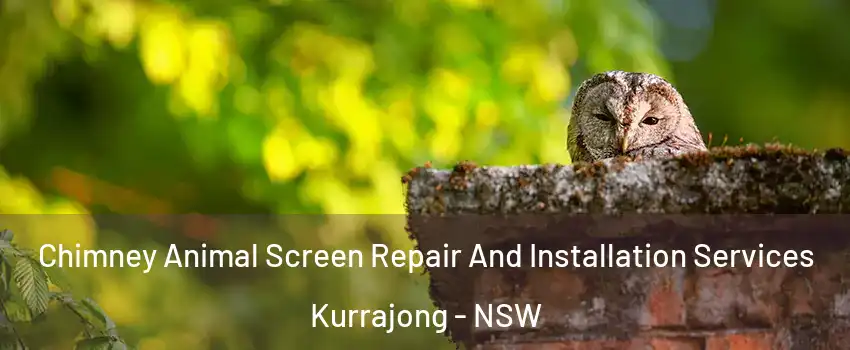 Chimney Animal Screen Repair And Installation Services Kurrajong - NSW