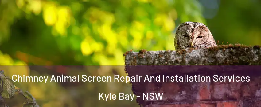 Chimney Animal Screen Repair And Installation Services Kyle Bay - NSW