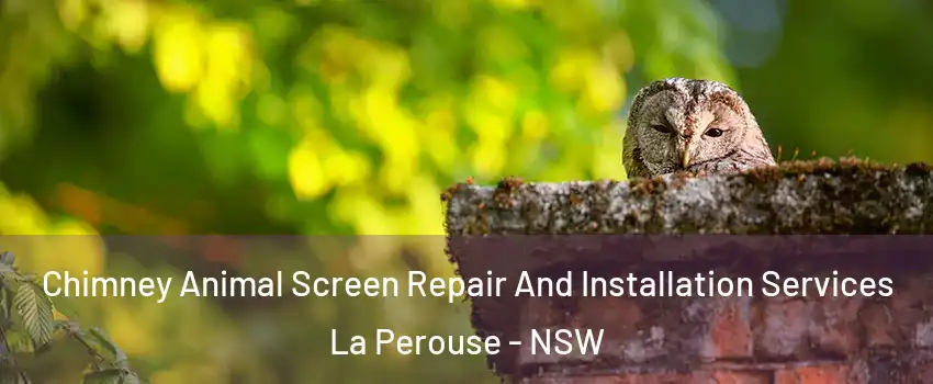 Chimney Animal Screen Repair And Installation Services La Perouse - NSW