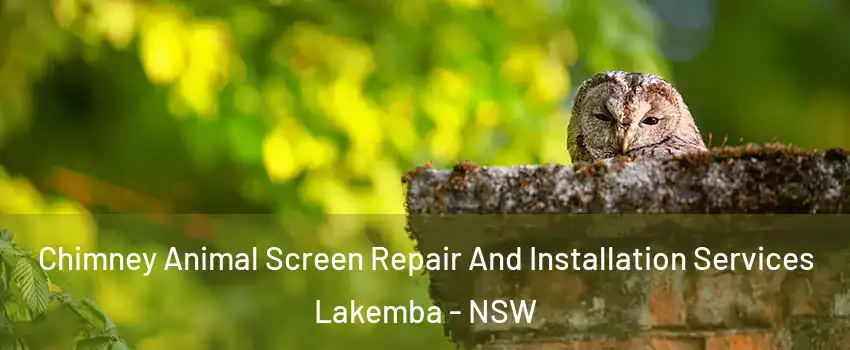 Chimney Animal Screen Repair And Installation Services Lakemba - NSW