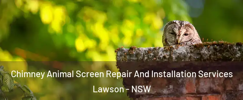 Chimney Animal Screen Repair And Installation Services Lawson - NSW