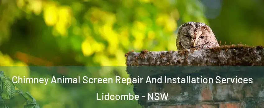 Chimney Animal Screen Repair And Installation Services Lidcombe - NSW