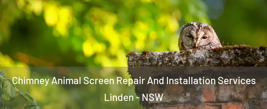 Chimney Animal Screen Repair And Installation Services Linden - NSW