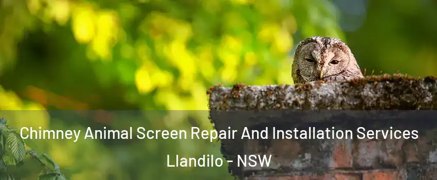 Chimney Animal Screen Repair And Installation Services Llandilo - NSW
