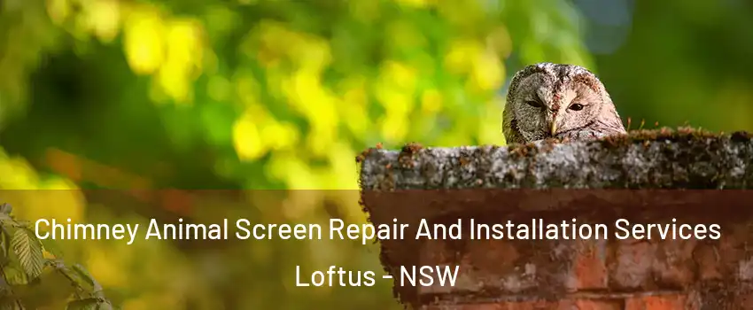Chimney Animal Screen Repair And Installation Services Loftus - NSW