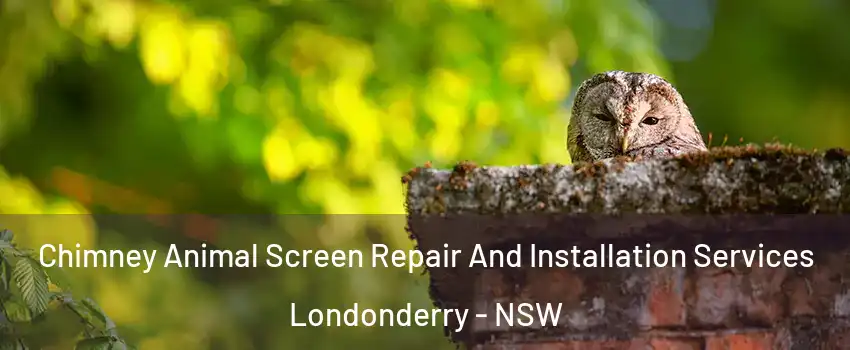 Chimney Animal Screen Repair And Installation Services Londonderry - NSW