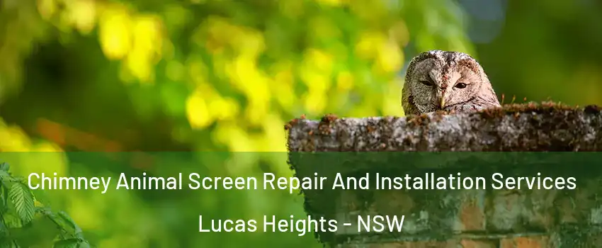 Chimney Animal Screen Repair And Installation Services Lucas Heights - NSW
