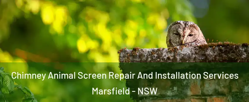 Chimney Animal Screen Repair And Installation Services Marsfield - NSW