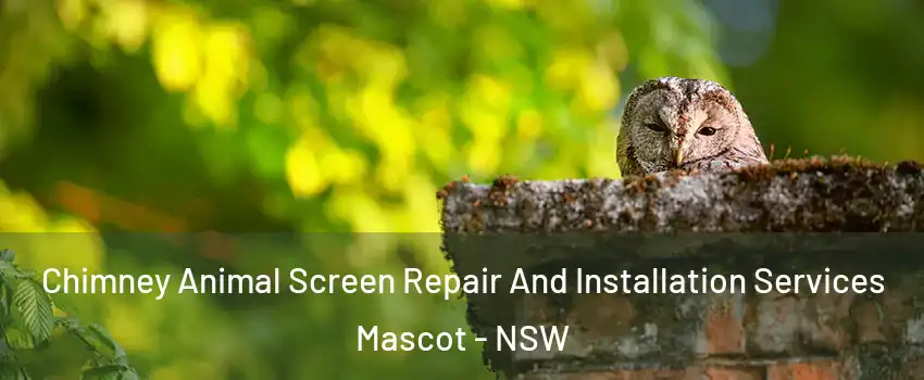 Chimney Animal Screen Repair And Installation Services Mascot - NSW