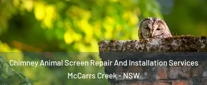 Chimney Animal Screen Repair And Installation Services McCarrs Creek - NSW