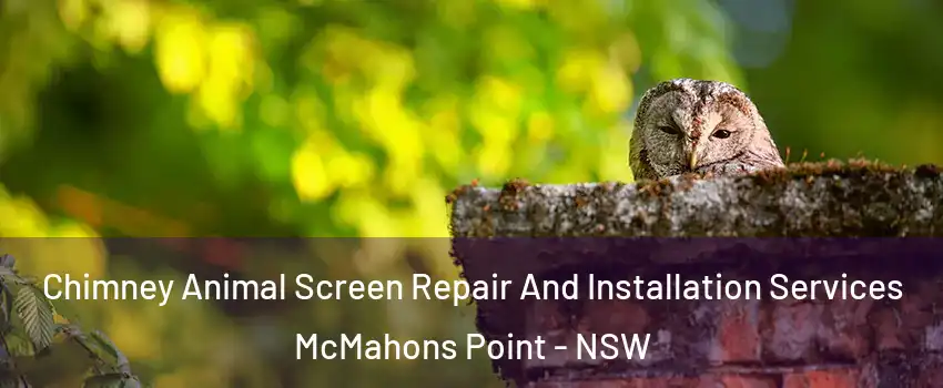 Chimney Animal Screen Repair And Installation Services McMahons Point - NSW