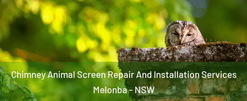 Chimney Animal Screen Repair And Installation Services Melonba - NSW