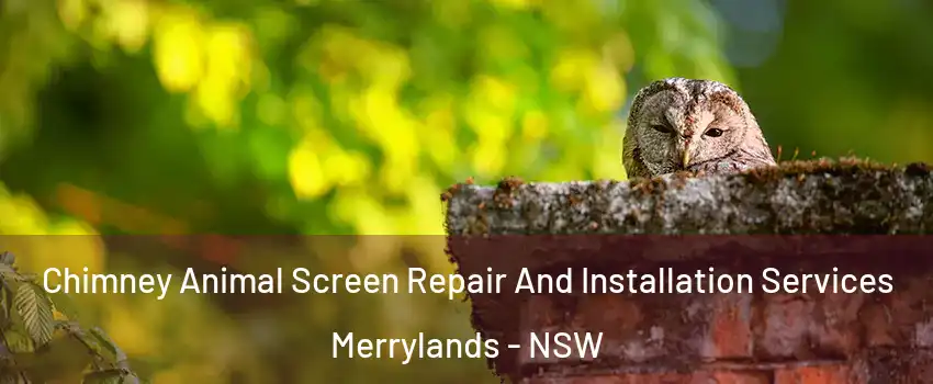 Chimney Animal Screen Repair And Installation Services Merrylands - NSW
