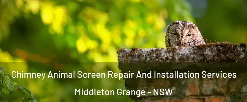 Chimney Animal Screen Repair And Installation Services Middleton Grange - NSW