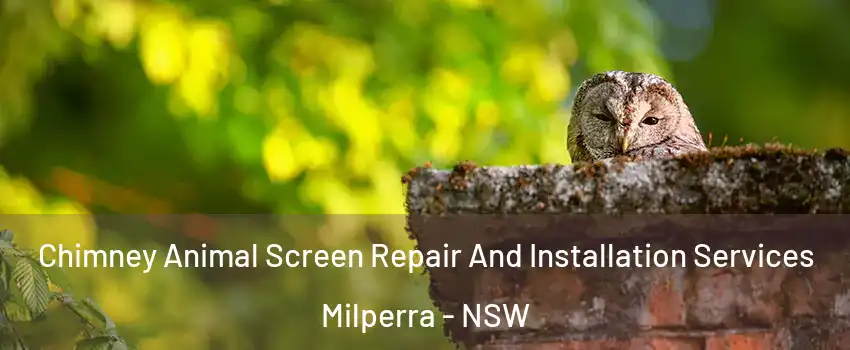 Chimney Animal Screen Repair And Installation Services Milperra - NSW