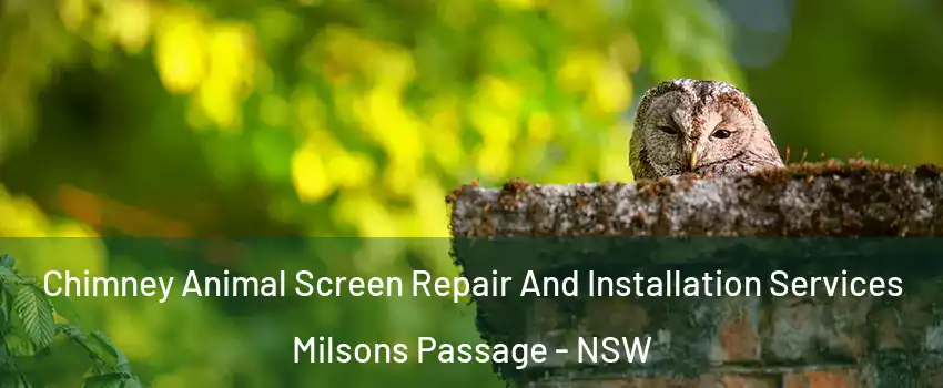 Chimney Animal Screen Repair And Installation Services Milsons Passage - NSW