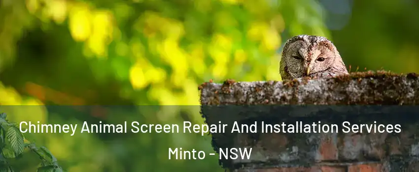 Chimney Animal Screen Repair And Installation Services Minto - NSW