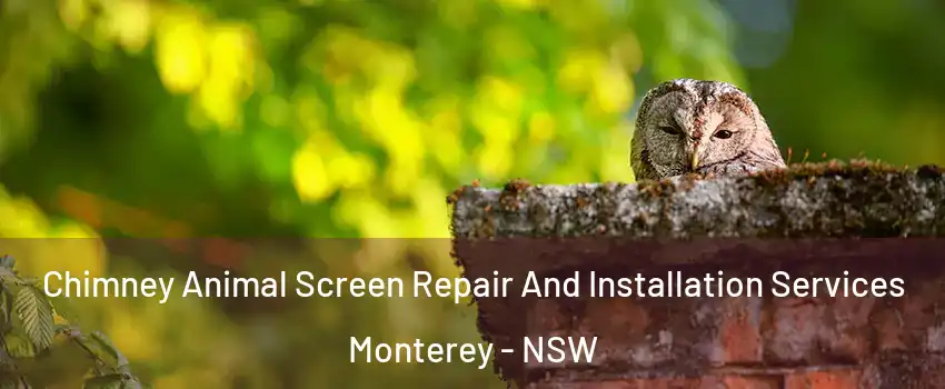 Chimney Animal Screen Repair And Installation Services Monterey - NSW