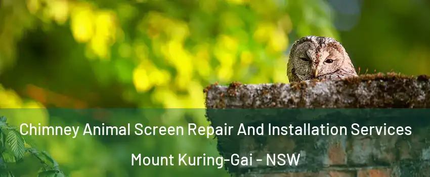 Chimney Animal Screen Repair And Installation Services Mount Kuring-Gai - NSW