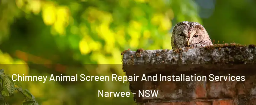 Chimney Animal Screen Repair And Installation Services Narwee - NSW