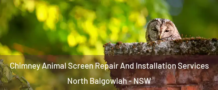 Chimney Animal Screen Repair And Installation Services North Balgowlah - NSW
