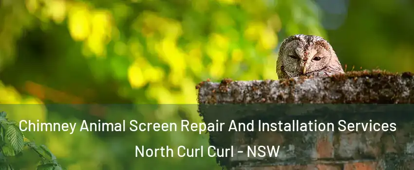 Chimney Animal Screen Repair And Installation Services North Curl Curl - NSW