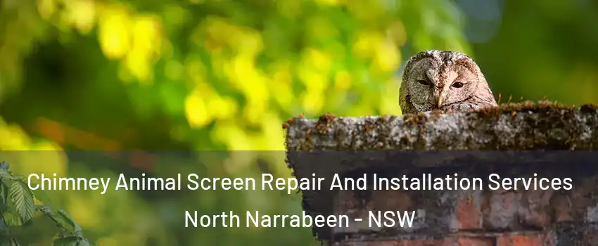 Chimney Animal Screen Repair And Installation Services North Narrabeen - NSW