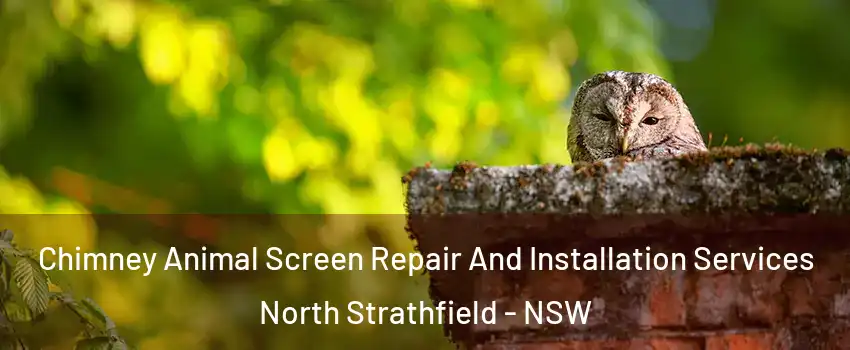 Chimney Animal Screen Repair And Installation Services North Strathfield - NSW