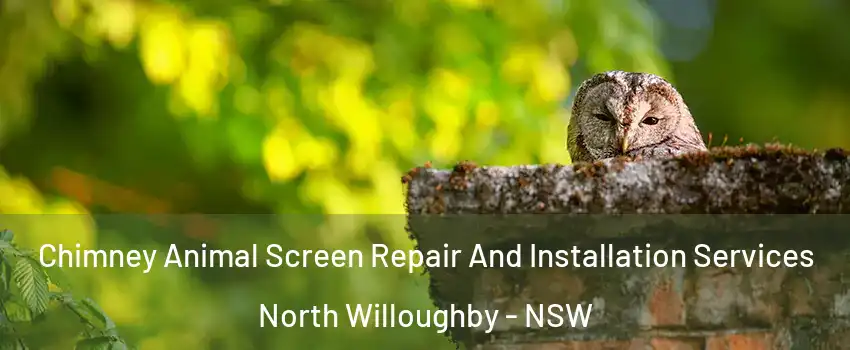 Chimney Animal Screen Repair And Installation Services North Willoughby - NSW