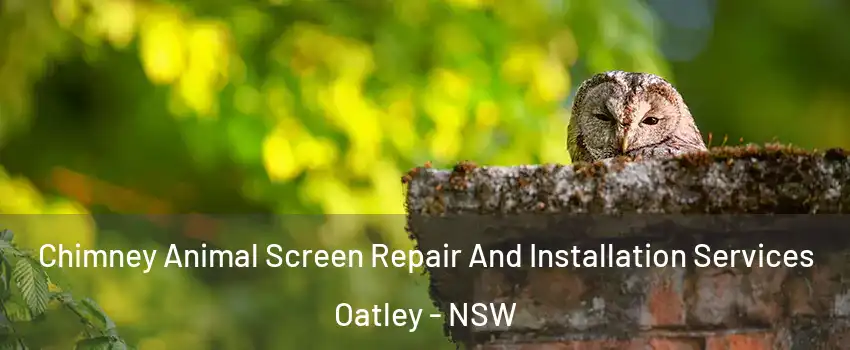 Chimney Animal Screen Repair And Installation Services Oatley - NSW