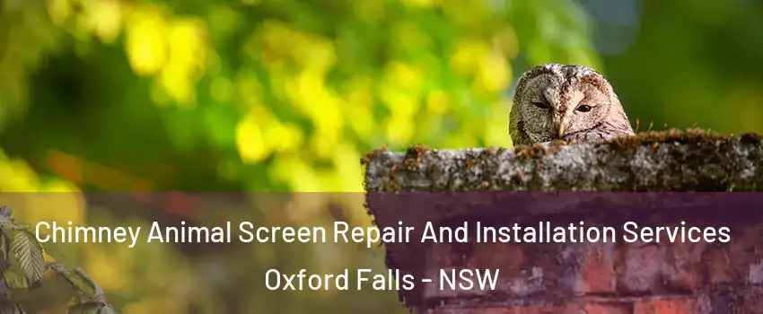 Chimney Animal Screen Repair And Installation Services Oxford Falls - NSW