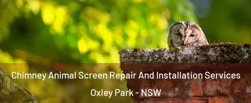Chimney Animal Screen Repair And Installation Services Oxley Park - NSW