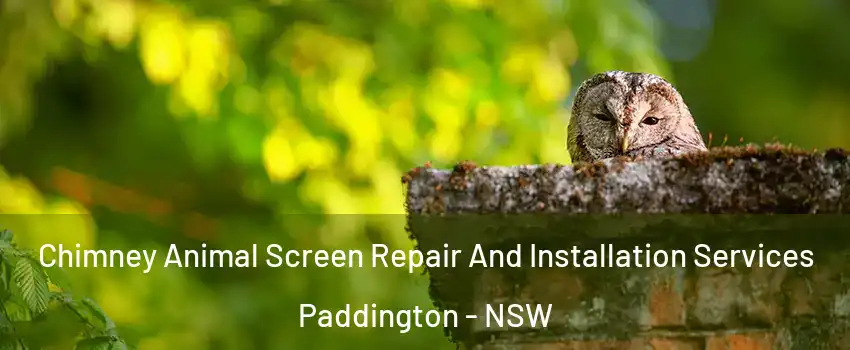 Chimney Animal Screen Repair And Installation Services Paddington - NSW