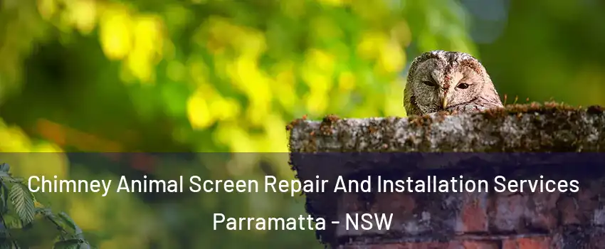 Chimney Animal Screen Repair And Installation Services Parramatta - NSW