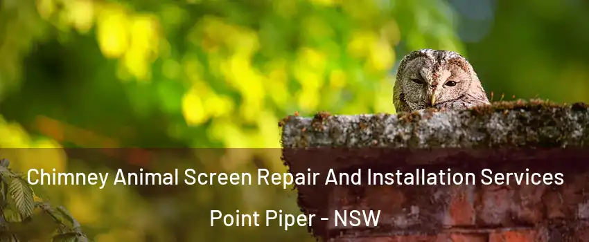Chimney Animal Screen Repair And Installation Services Point Piper - NSW