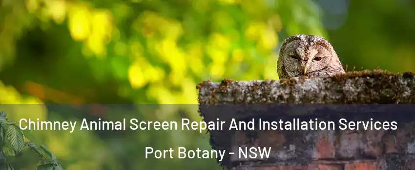 Chimney Animal Screen Repair And Installation Services Port Botany - NSW