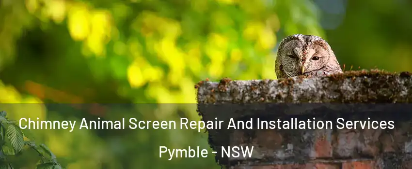 Chimney Animal Screen Repair And Installation Services Pymble - NSW