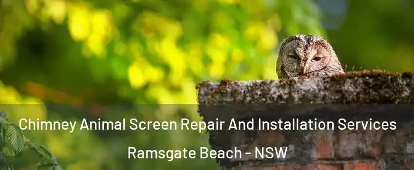 Chimney Animal Screen Repair And Installation Services Ramsgate Beach - NSW