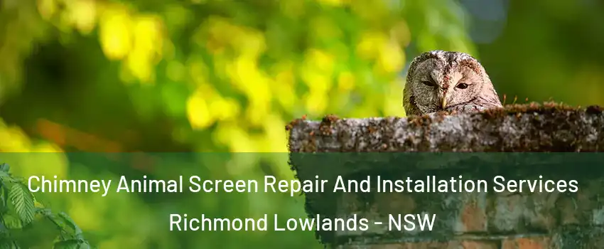Chimney Animal Screen Repair And Installation Services Richmond Lowlands - NSW