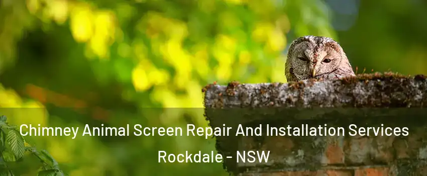 Chimney Animal Screen Repair And Installation Services Rockdale - NSW