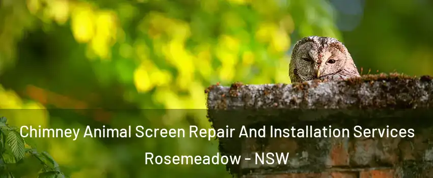 Chimney Animal Screen Repair And Installation Services Rosemeadow - NSW