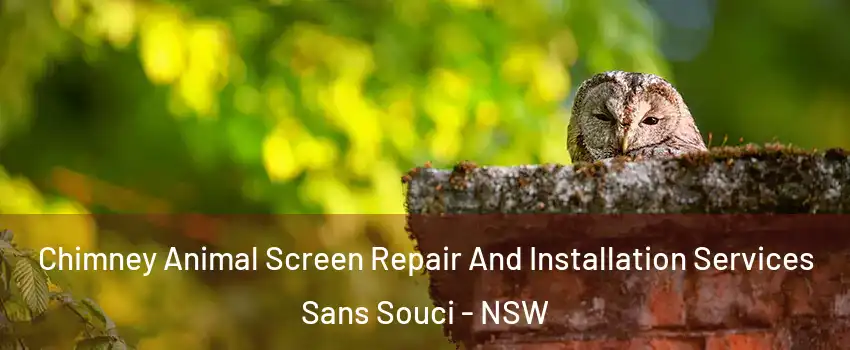 Chimney Animal Screen Repair And Installation Services Sans Souci - NSW