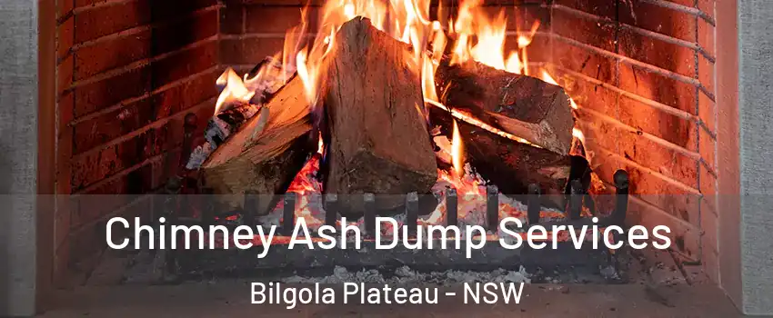 Chimney Ash Dump Services Bilgola Plateau - NSW