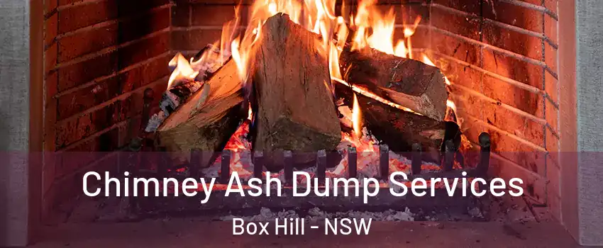 Chimney Ash Dump Services Box Hill - NSW
