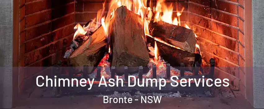 Chimney Ash Dump Services Bronte - NSW