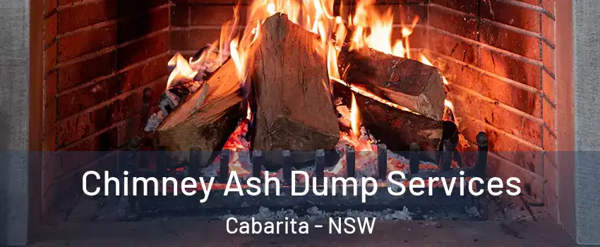 Chimney Ash Dump Services Cabarita - NSW