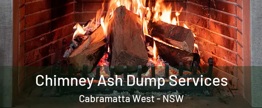 Chimney Ash Dump Services Cabramatta West - NSW